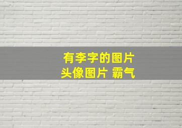 有李字的图片头像图片 霸气